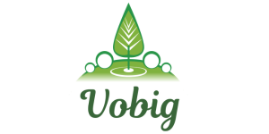 Vobig Galabau & Hausmeisterservice