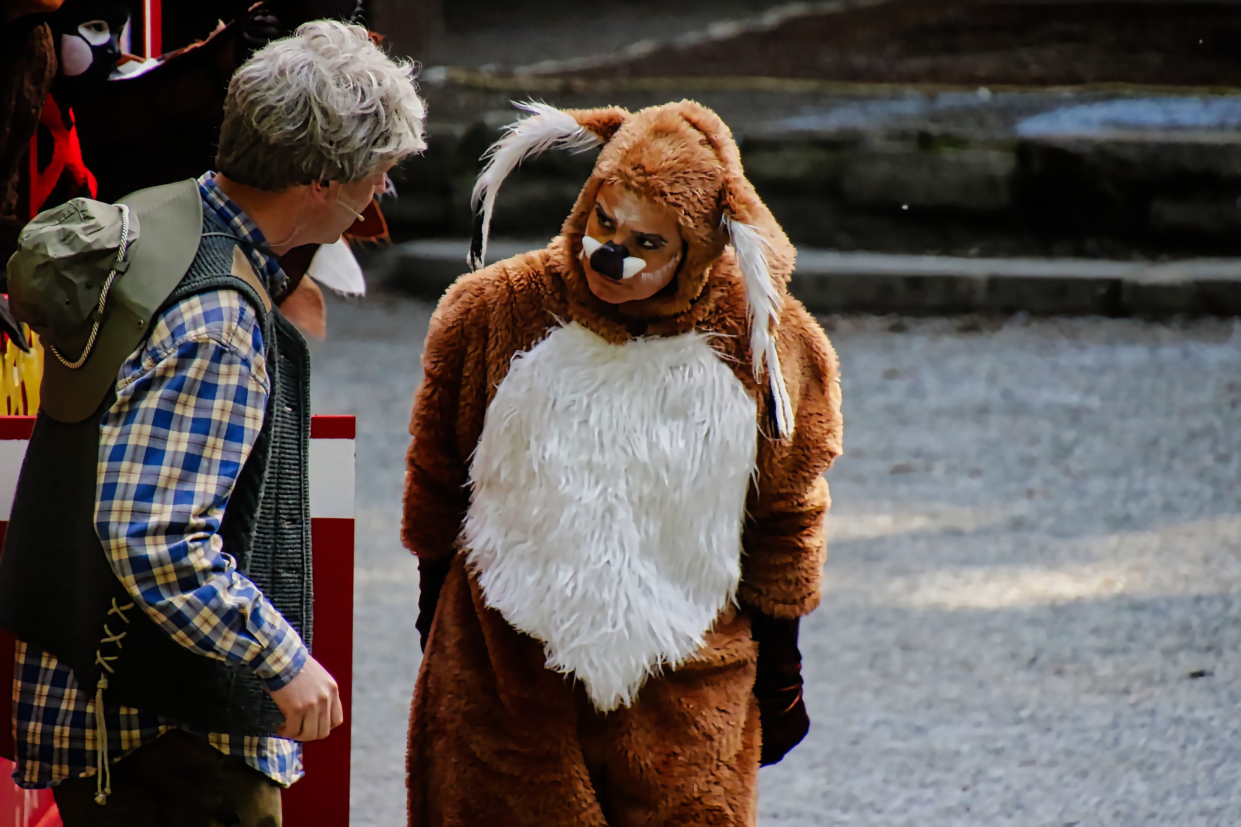 Die Schule der magischen Tiere